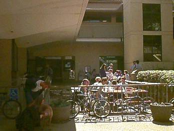 coho.jpg (17952 bytes)