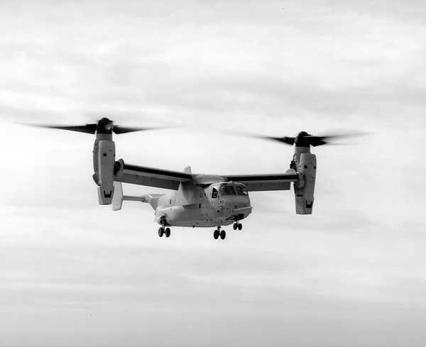 v2204.jpg (10753 bytes)